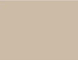 Sandbar color swatch