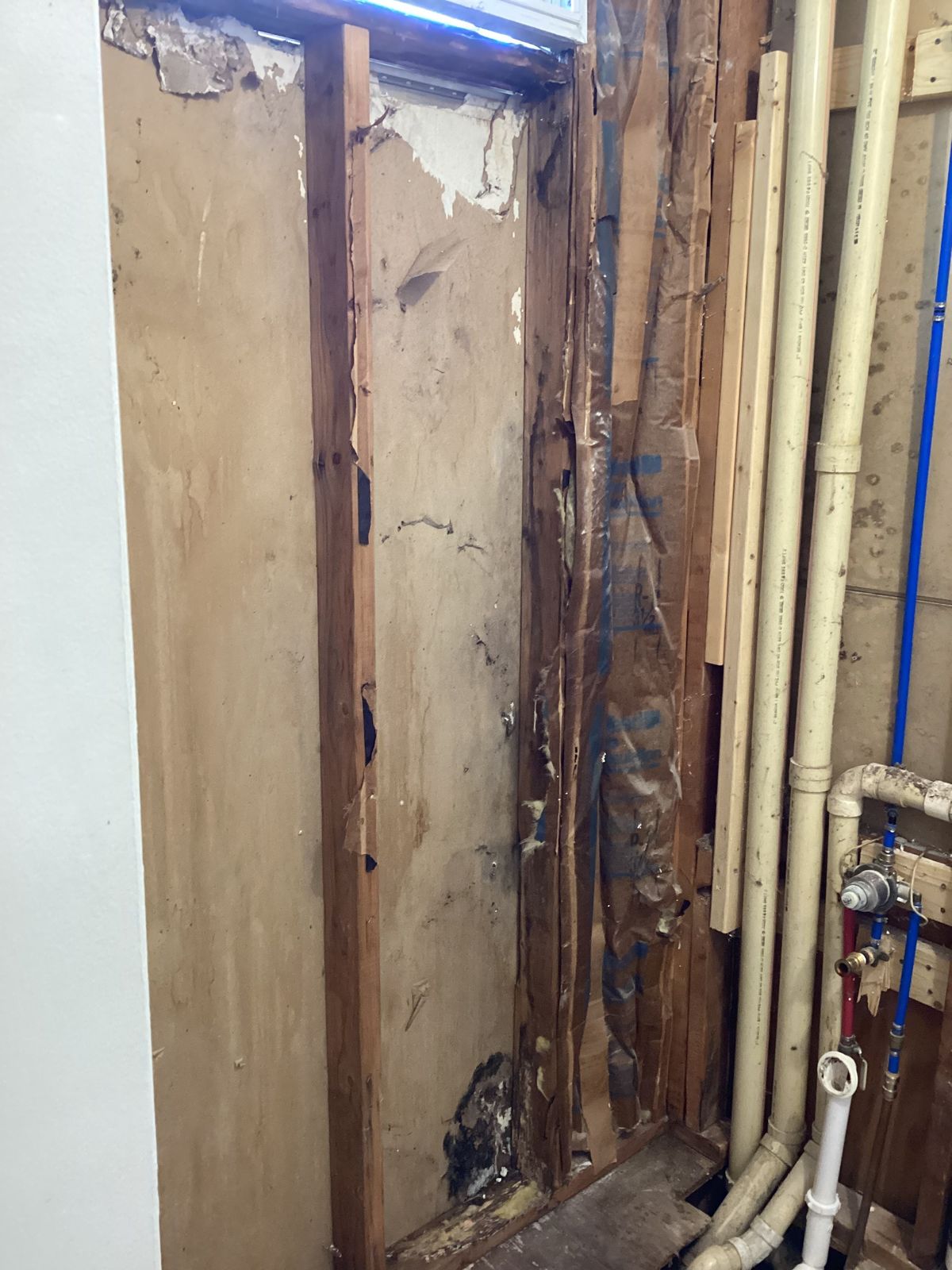 Exposed wall studs and plumbing during remodeling