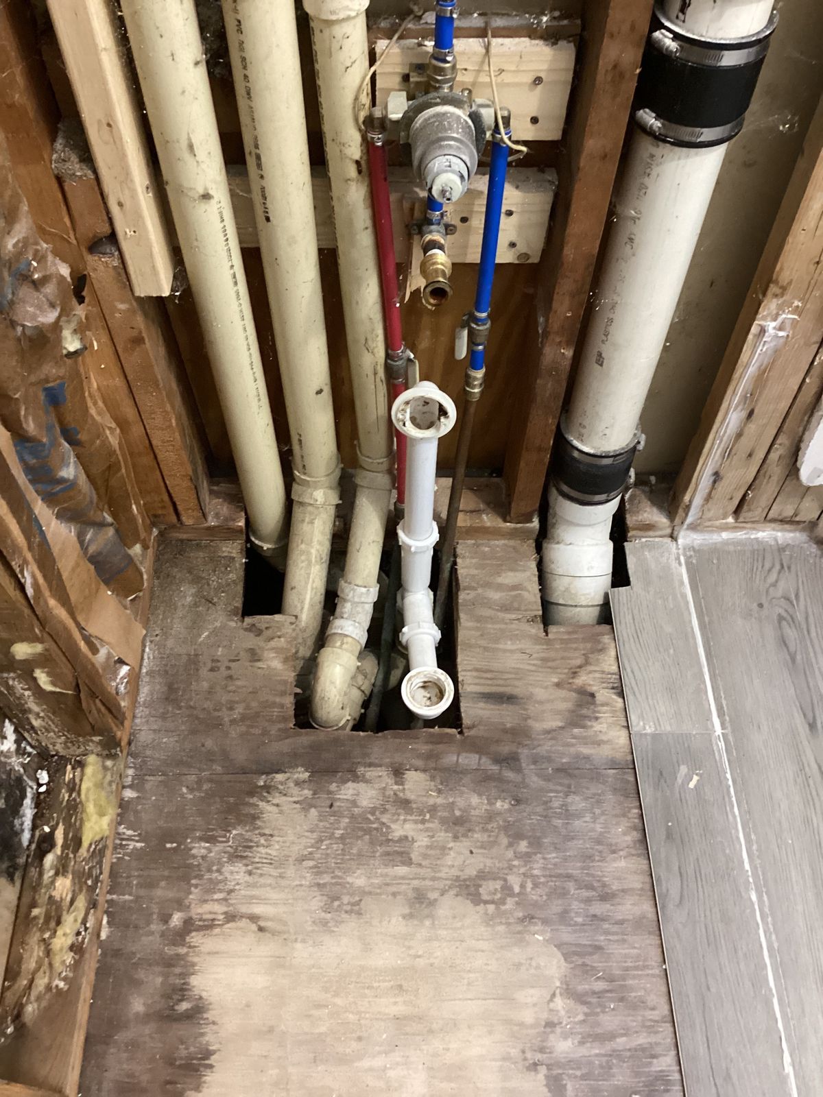 Plumbing rough-in exposed during remodeling